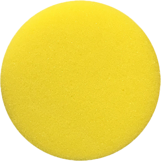Sponge