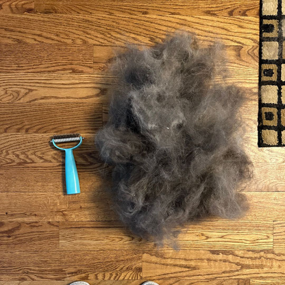 Cleaner Brush