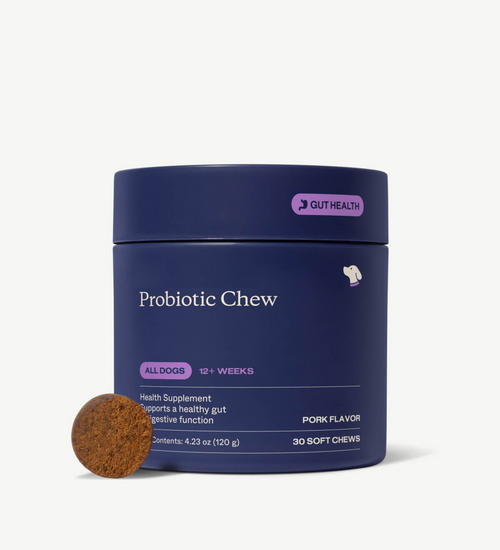 Probiotics for Dogs