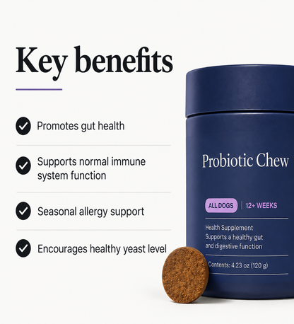 Probiotics for Dogs