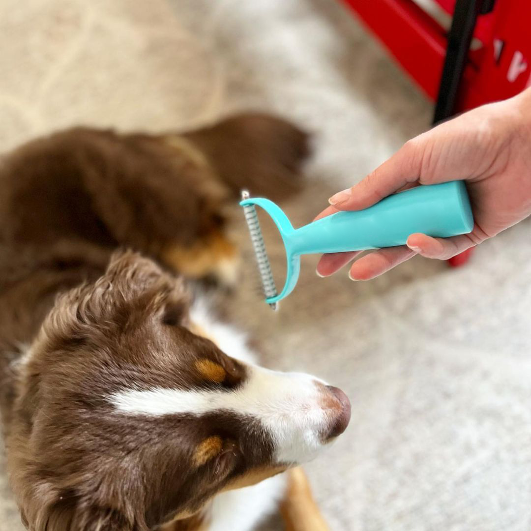 Cleaner Brush